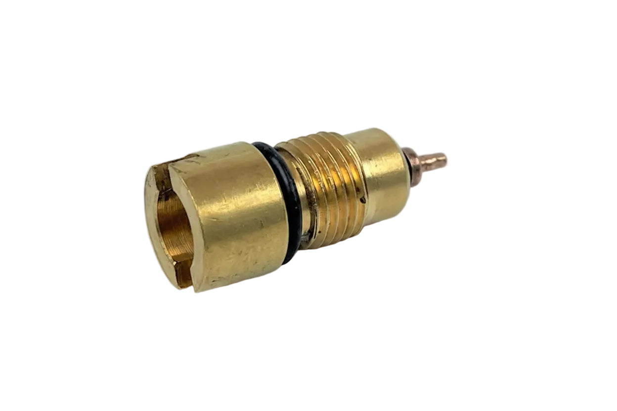 Coleman Northstar Check Valve Replacement – C078 – Old Coleman Parts