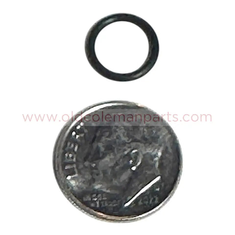 Check Valve O Ring - S20