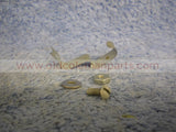 p1010024-38.jpg