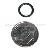 Check Valve O Ring - S20
