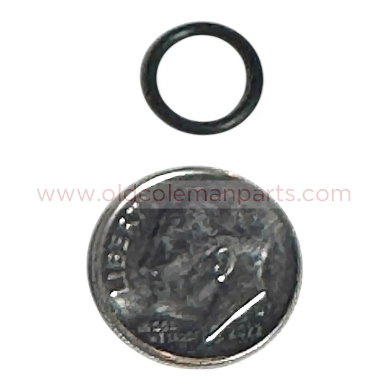 Check Valve O Ring - S20