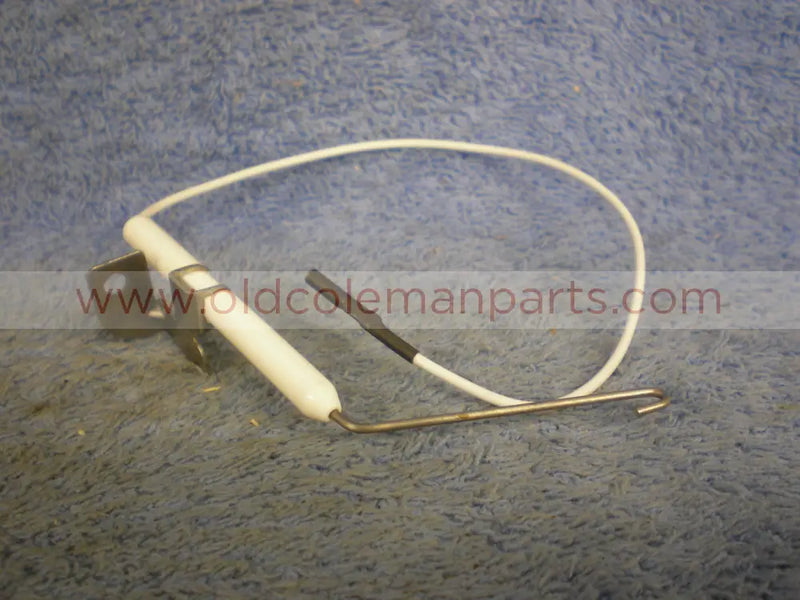 Electrode with Wire