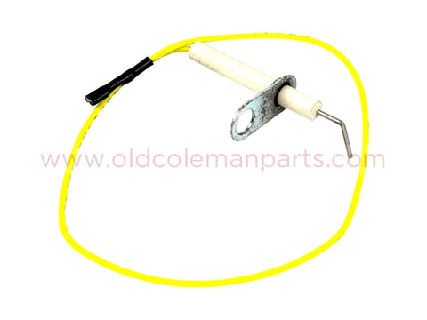 Electrode with Wire
