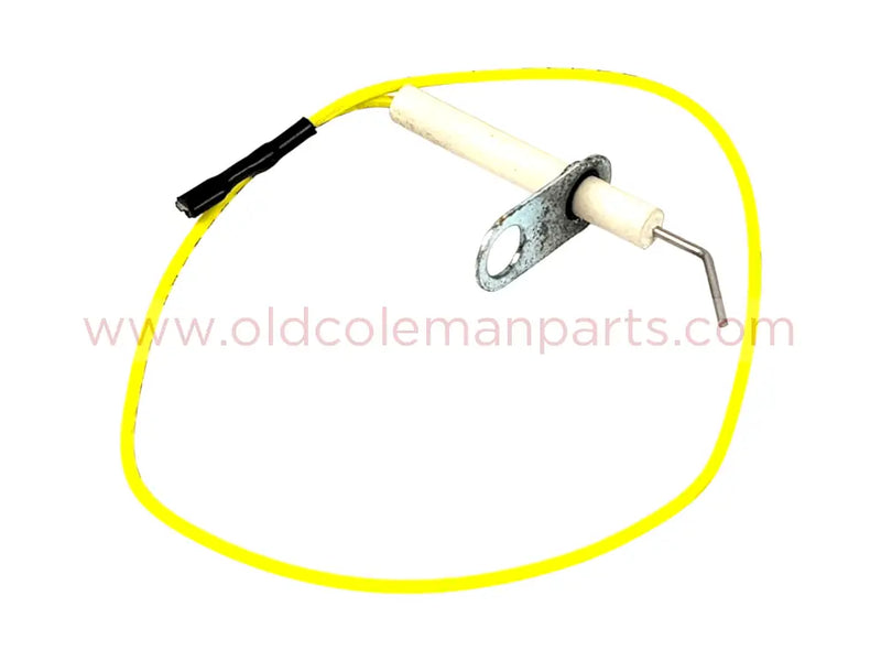 Electrode with Wire