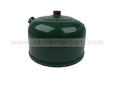 DSCN6337-PhotoRoom.png