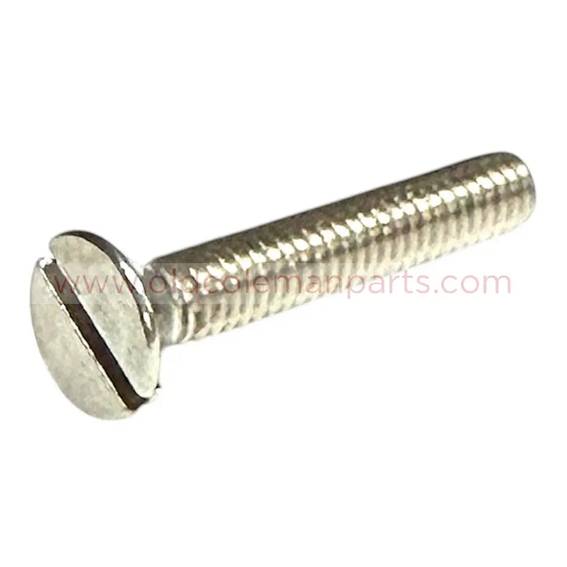 Grate Screw, NOS - E1046