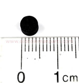 20220409_143954.jpg