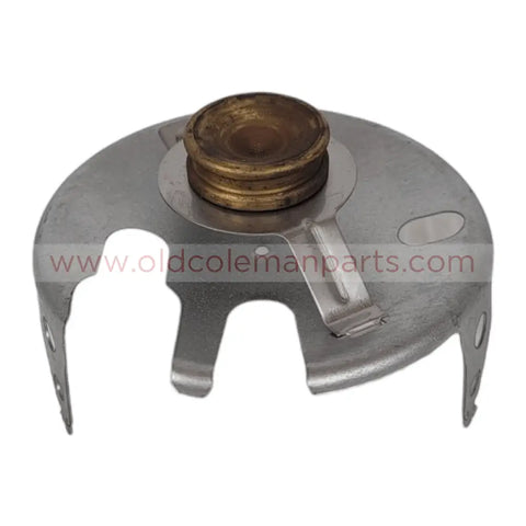Shield With Mantle Holder