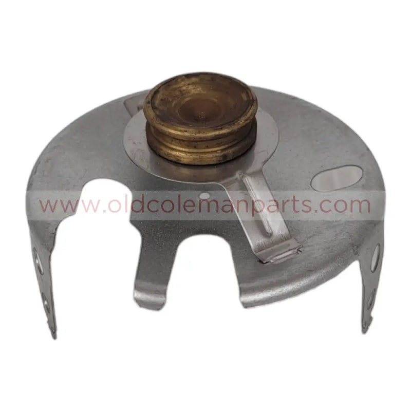 Shield With Mantle Holder