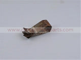 DSCN3029.jpg