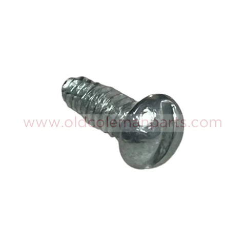 Valve Wheel Screw - S60